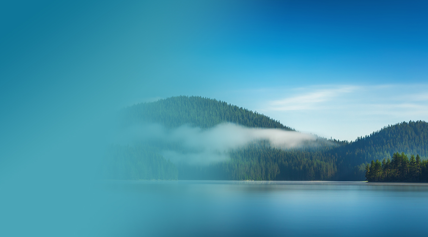 X5sc48hyT3Qwb1VZZh41st2xgMlWCZqoK0MguvbH