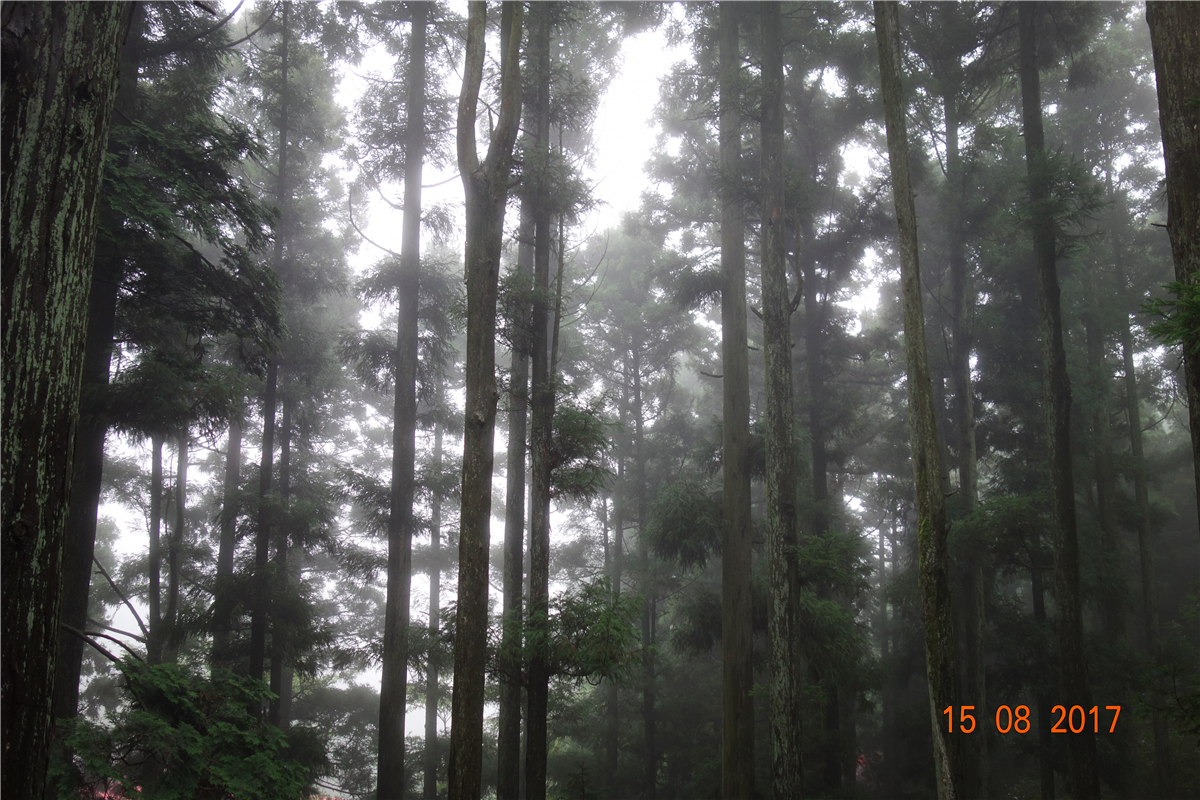 cc4vXRPmRAQXBeQW2wBAB1VwsEtMCOvQ0cv2jYxm